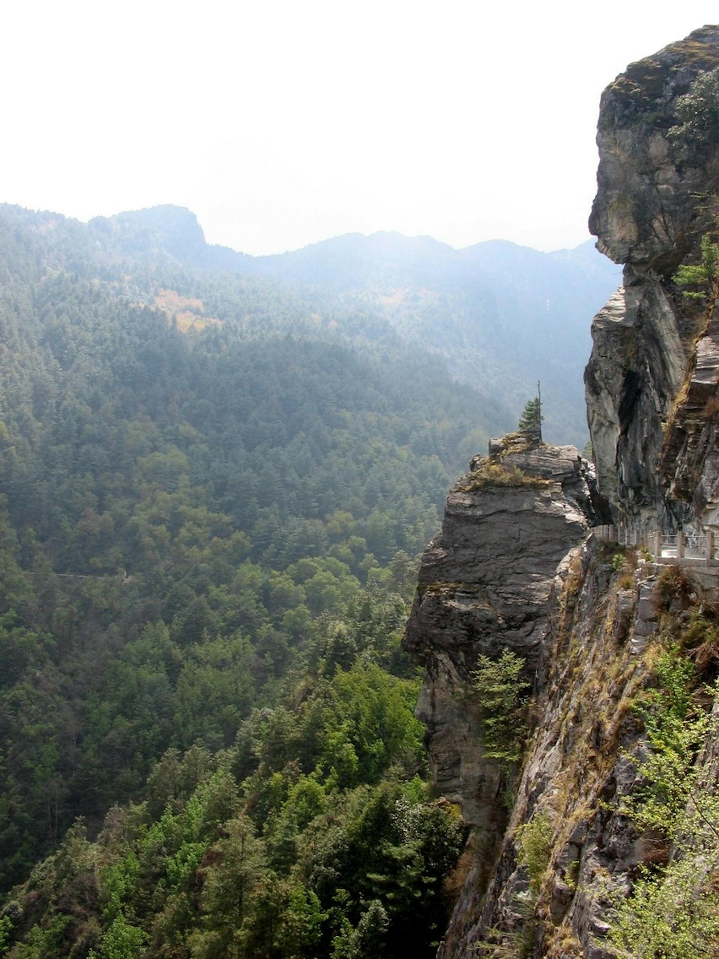 Guizhou & Yunnan Subtropical Forest Plateaus (PA52)